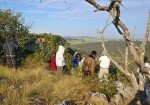 Oribi Vulture Viewing Hide